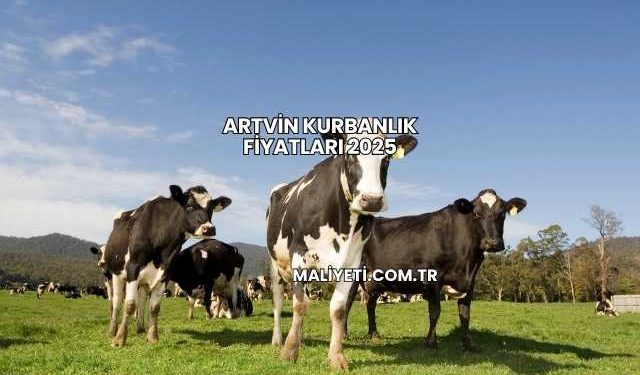 Artvin Kurbanlık Fiyatları 2025