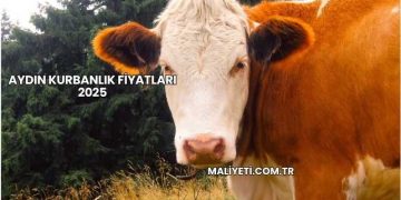 Aydın Kurbanlık Fiyatları 2025