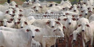 Balıkesir Kurbanlık Fiyatları 2025