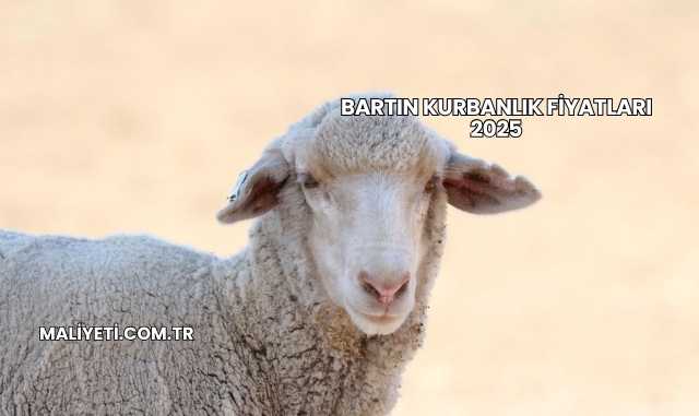 Bartın Kurbanlık Fiyatları 2025