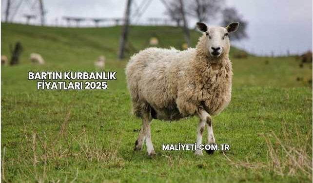 Bartın Kurbanlık Fiyatları 2025