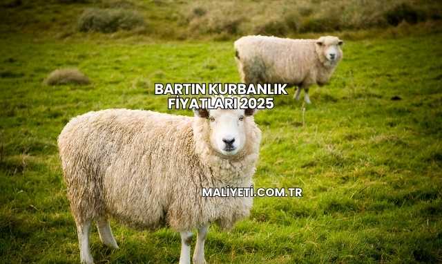 Bartın Kurbanlık Fiyatları 2025