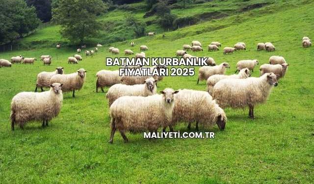 Batman Kurbanlık Fiyatları 2025