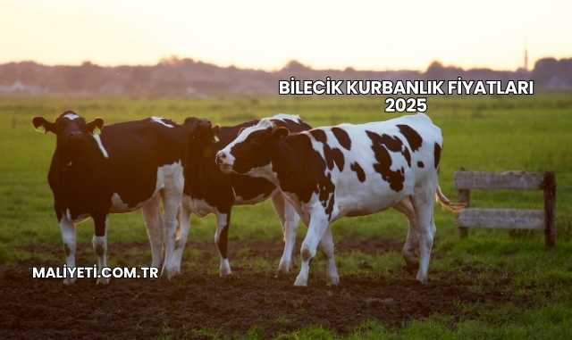 Bilecik Kurbanlık Fiyatları 2025