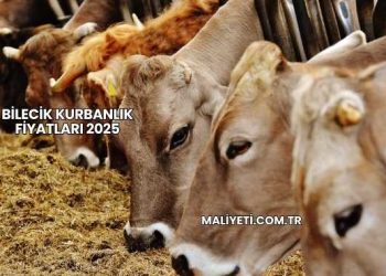Bilecik Kurbanlık Fiyatları 2025