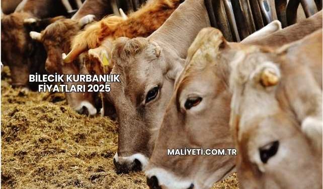 Bilecik Kurbanlık Fiyatları 2025