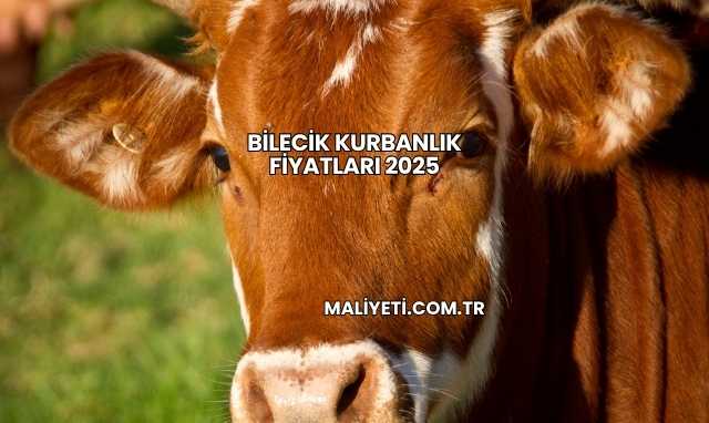 Bilecik Kurbanlık Fiyatları 2025