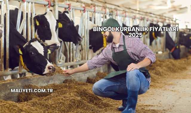Bingöl Kurbanlık Fiyatları 2025