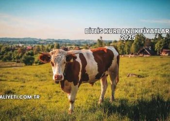 Bitlis Kurbanlık Fiyatları 2025