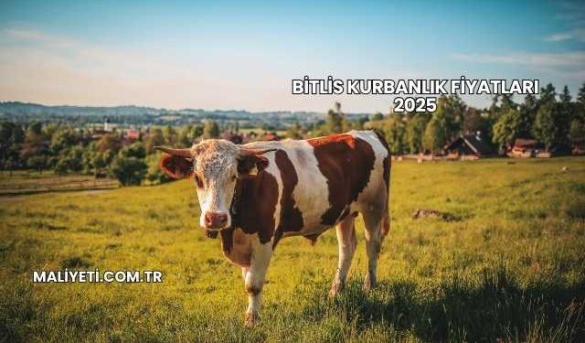 Bitlis Kurbanlık Fiyatları 2025