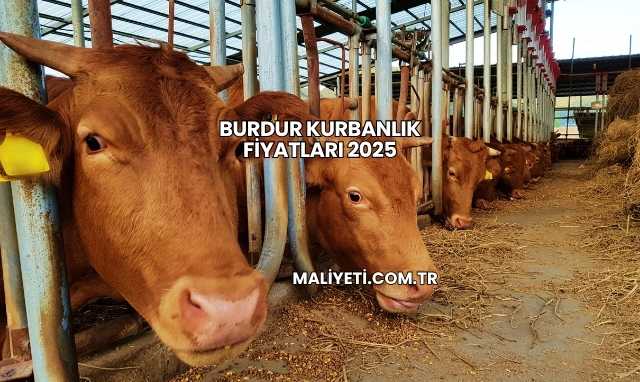 Burdur Kurbanlık Fiyatları 2025