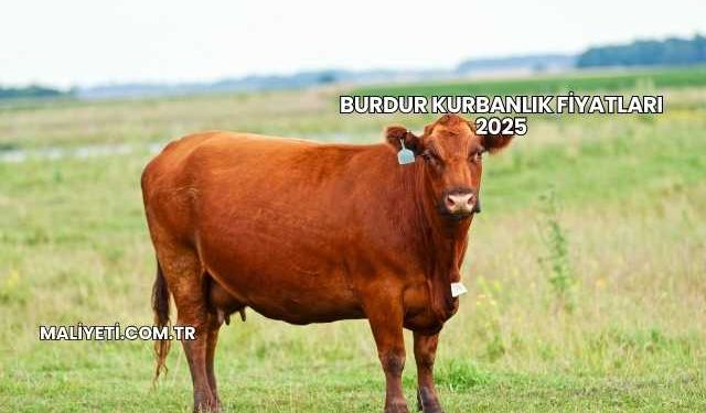 Burdur Kurbanlık Fiyatları 2025