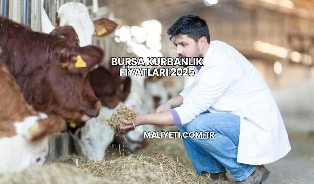 Bursa Kurbanlık Fiyatları 2025