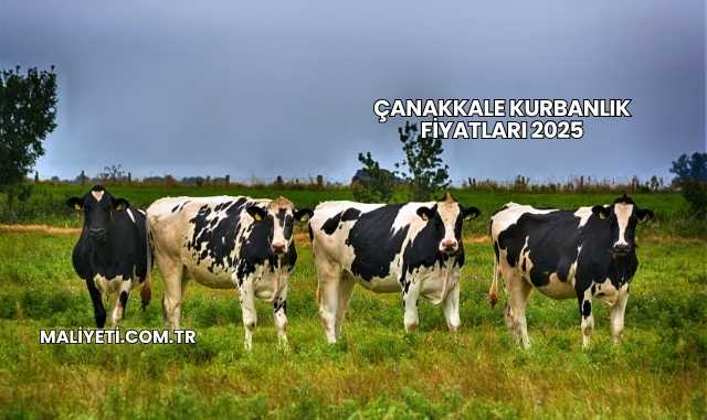 Çanakkale Kurbanlık Fiyatları 2025