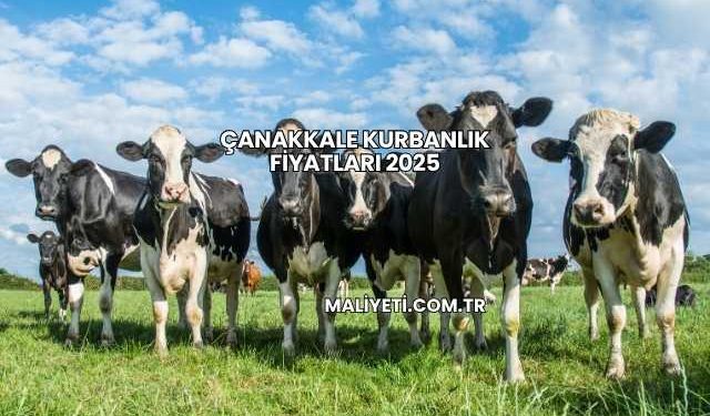 Çanakkale Kurbanlık Fiyatları 2025