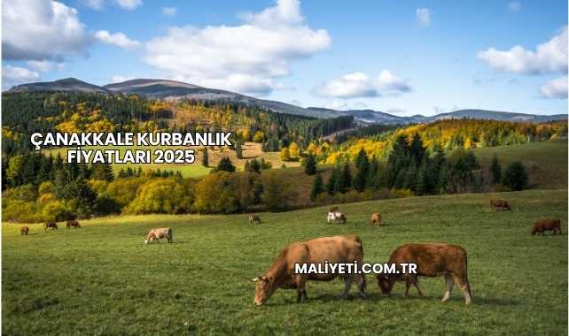 Çanakkale Kurbanlık Fiyatları 2025