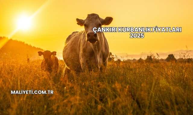 Çankırı Kurbanlık Fiyatları 2025