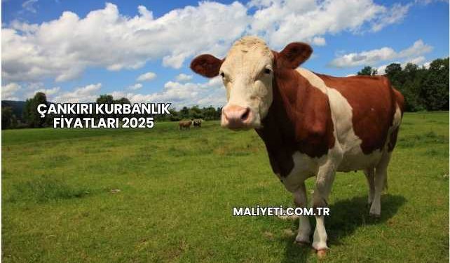 Çankırı Kurbanlık Fiyatları 2025