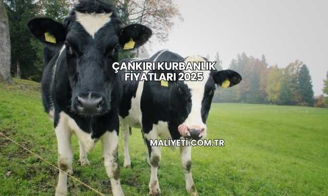 Çankırı Kurbanlık Fiyatları 2025