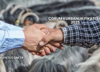 Çorum Kurbanlık Fiyatları 2025