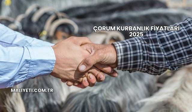 Çorum Kurbanlık Fiyatları 2025