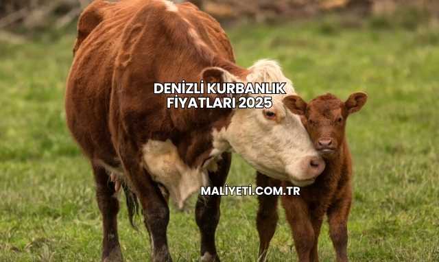Denizli Kurbanlık Fiyatları 2025