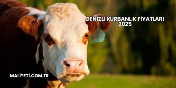 Denizli Kurbanlık Fiyatları 2025