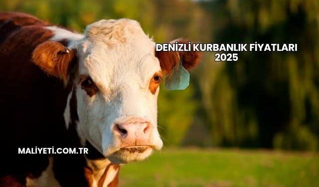 Denizli Kurbanlık Fiyatları 2025