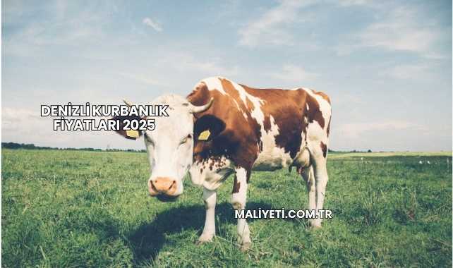 Denizli Kurbanlık Fiyatları 2025