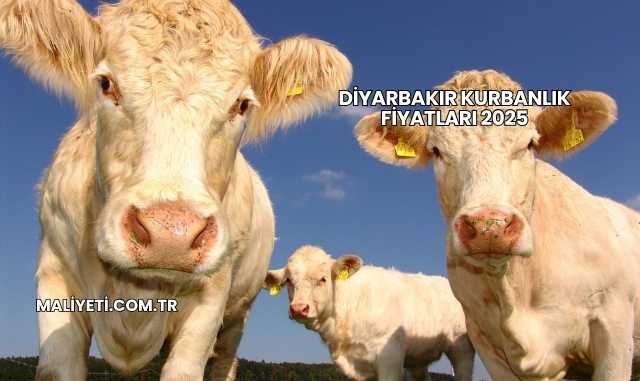 Diyarbakır Kurbanlık Fiyatları 2025