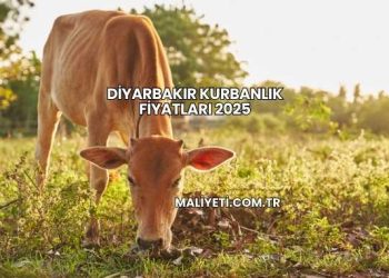 Diyarbakır Kurbanlık Fiyatları 2025