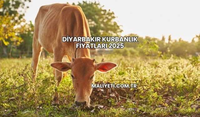 Diyarbakır Kurbanlık Fiyatları 2025
