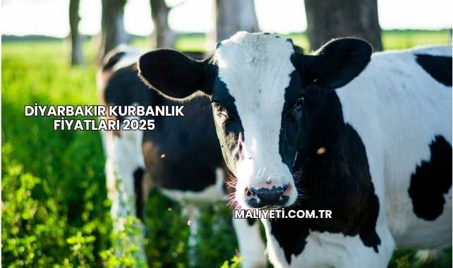 Diyarbakır Kurbanlık Fiyatları 2025