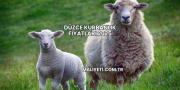 Düzce Kurbanlık Fiyatları 2025