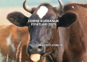 Edirne Kurbanlık Fiyatları 2025