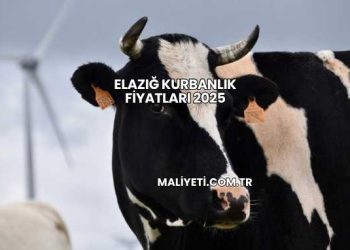 Elazığ Kurbanlık Fiyatları 2025