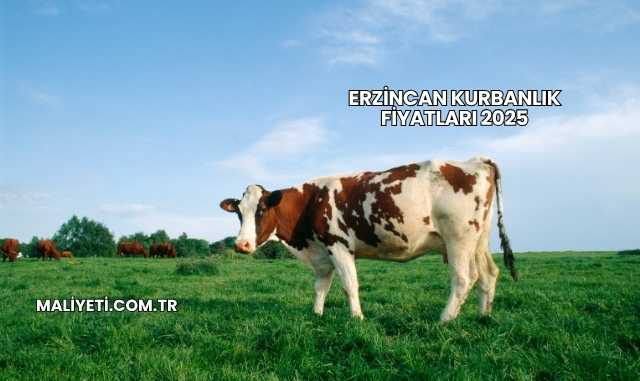 Erzincan Kurbanlık Fiyatları 2025