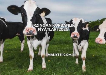 Erzincan Kurbanlık Fiyatları 2025