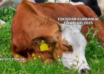 Eskişehir Kurbanlık Fiyatları 2025
