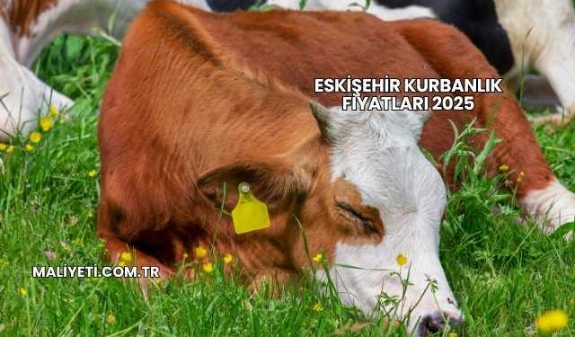 Eskişehir Kurbanlık Fiyatları 2025