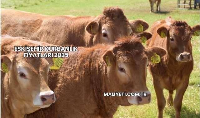 Eskişehir Kurbanlık Fiyatları 2025