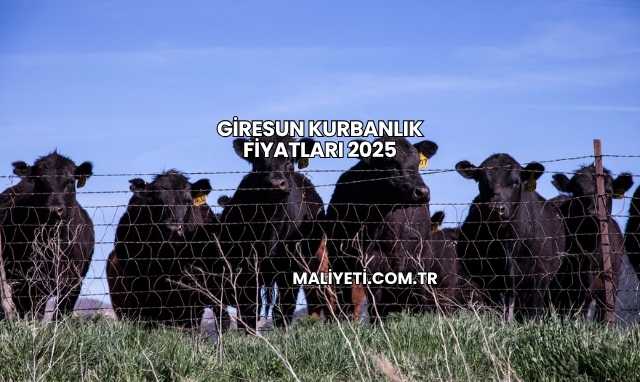 Giresun Kurbanlık Fiyatları 2025