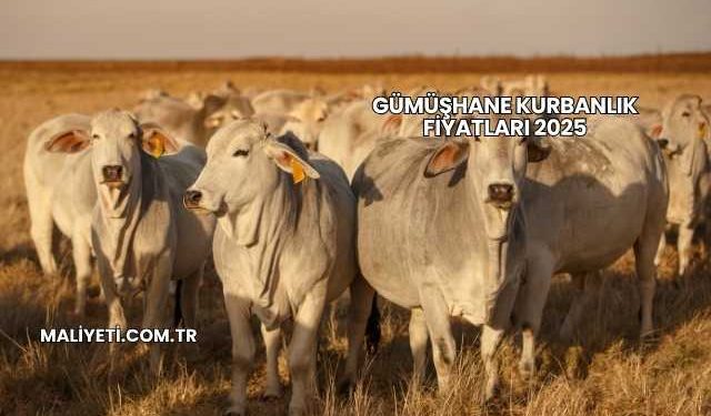 Gümüşhane Kurbanlık Fiyatları 2025