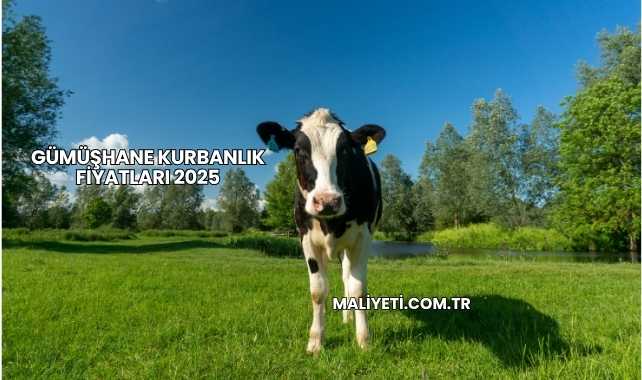 Gümüşhane Kurbanlık Fiyatları 2025