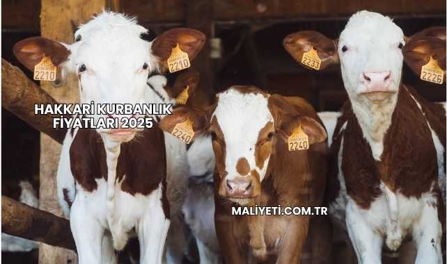 Hakkari Kurbanlık Fiyatları 2025