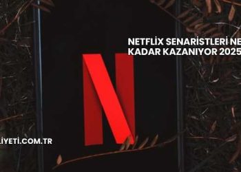 Netflix Senaristleri Ne Kadar Kazanıyor 2025