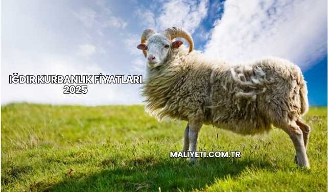 Iğdır Kurbanlık Fiyatları 2025