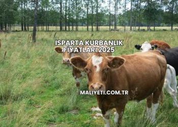 Isparta Kurbanlık Fiyatları 2025