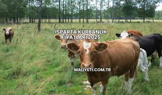 Isparta Kurbanlık Fiyatları 2025