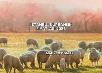 İstanbul Kurbanlık Fiyatları 2025